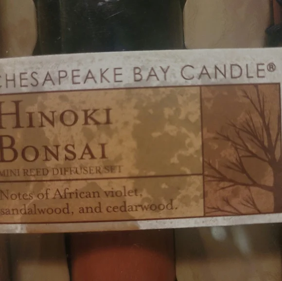 Mini Reed Diffuser - Picture 3 of 5